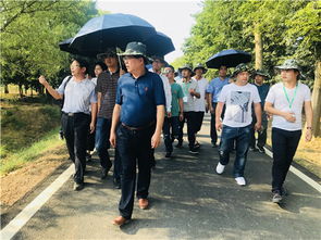 科研成果赋能精品苗木，绿色产业绽放新活力