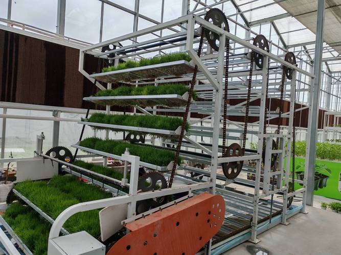 植物工厂设备供应商推荐与苗木种植成本指南